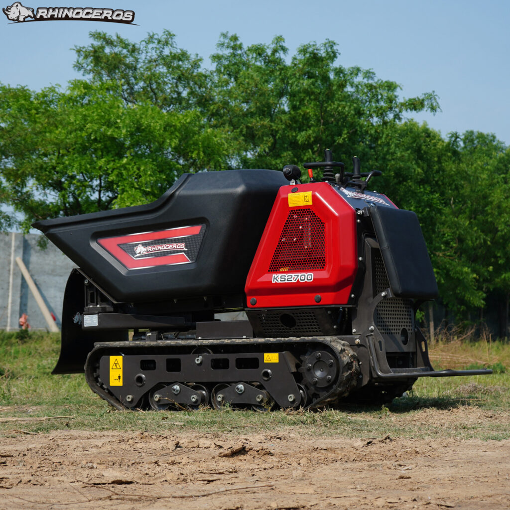 Chinese buggy dumper